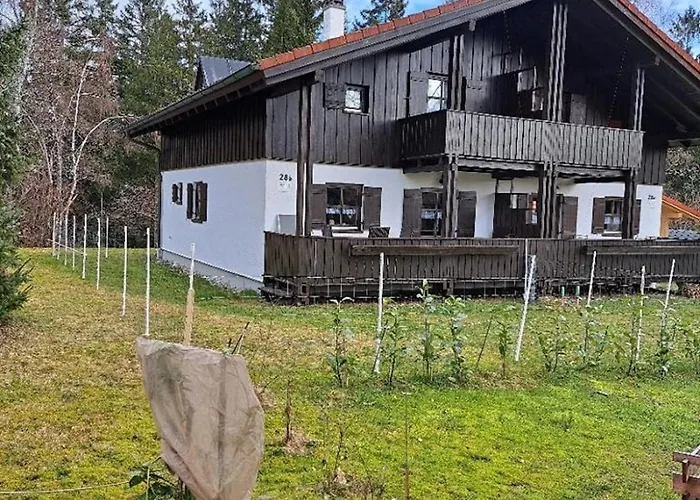 Walter Im Waldferiendorf *