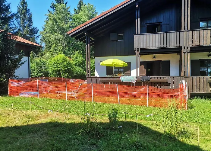 Walter Im Waldferiendorf *